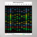 Recherche de adn posters Génétique