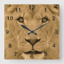 Recherche de visage de lion Pour lui