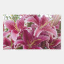 Recherche de hybrides autocollants Jardin