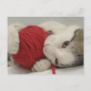 Recherche de studio cartes postales Rouge