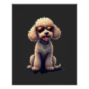 Recherche de chien caniche posters Loup
