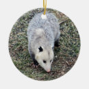 Recherche de opossum ornements Marsupial