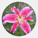 Recherche de lis autocollants Jardin
