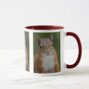 Recherche de écureuil rouge tasses Animal