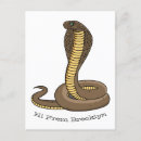 Recherche de serpent venimeux cartes postales Cobra