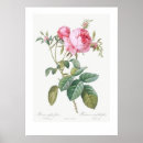 Recherche de illustration vintage posters Fleurs