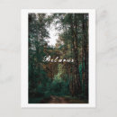 Recherche de bouleaux cartes postales Paysage