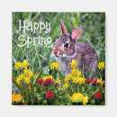 Recherche de jonquille magnets Printemps