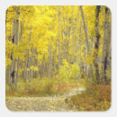 Recherche de solitude autocollants Route