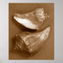 Recherche de renne posters Nature