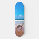 Recherche de love skateboards Dog