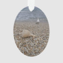 Recherche de coquille ornements Pêche