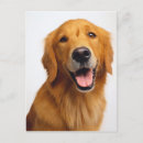 Recherche de smile cartes postales Animal