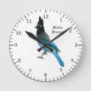 Recherche de geai bleu horloges Nature