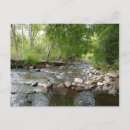 Recherche de canard photographie Paysage