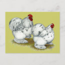 Recherche de splash cartes postales Oiseaux