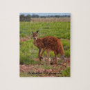 Recherche de kangourou puzzles Animal