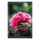Recherche de rose de pivoine posters Fleur
