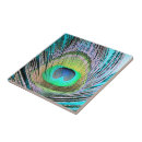 Recherche de plume de paon carreaux Coloré