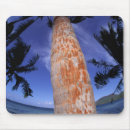 Recherche de bora bora tapis souris Tropical