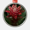 Recherche de rouge de fleur ornements Fleurs rouges