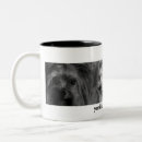 Recherche de yorkie tasses Chien