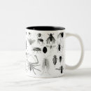 Recherche de entomologie tasses Mouche