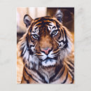 Recherche de animaux jungle cartes postales Beau