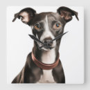 Recherche de greyhounde horloges Mignon
