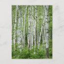 Recherche de plein cadre cartes postales Nature