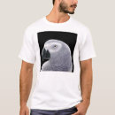 Recherche de timnehs Animaux
