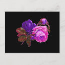 Recherche de néon vintage cartes postales Rose