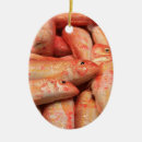 Recherche de poissonnerie ornements Marché
