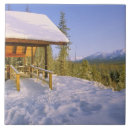 Recherche de hiver carreaux Pittoresque