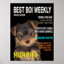 Recherche de yorkshire terrier posters Amoureux des chiens