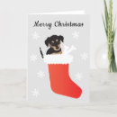 Recherche de rottweiler christmas vœux cartes Flocons de neige