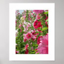 Recherche de hollyhock posters Floral