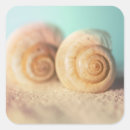 Recherche de nautilus autocollants Plage