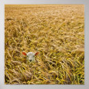 Recherche de agneau posters Laine