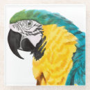 Recherche de tropical dessous de verres Animal