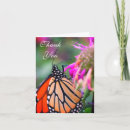 Recherche de papillon orange vœux cartes Photographie