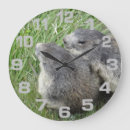 Recherche de marmotte horloges Nature