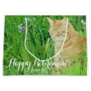 Recherche de chat de gingembre Amoureux des chats