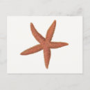 Recherche de sherman cartes postales Nature
