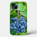 Recherche de nutrition électronique Fruit