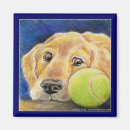 Recherche de balle de tennis magnets Chien