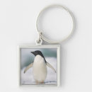 Recherche de adele porteclés Animal