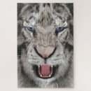 Recherche de tigre blanc puzzles Tête de tigre