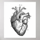 Recherche de anatomie coeur art dessin