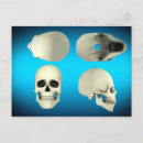 Recherche de crâne humain cartes postales 3d